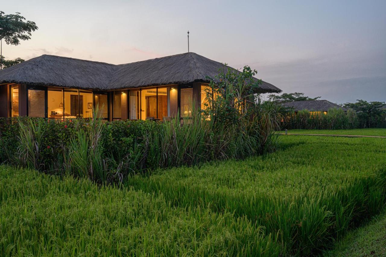 Water Garden - 30 Chic Designed Private Overlooking 5*