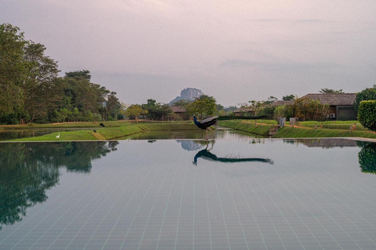 Resort Water Garden - 30 Chic Designed Private Overlooking
